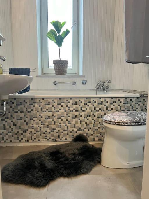 Casa Luna 6 Min Hbf , Erdgeschosswohnung ,altbau Apartment Duisburg